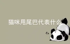 猫咪甩尾巴代表什么