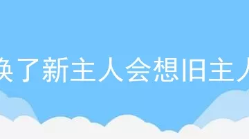 狗换了新主人会想旧主人吗