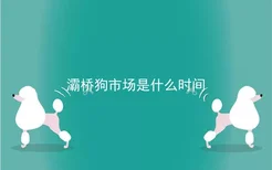 灞桥狗市场是什么时间