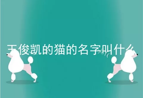 王俊凯的猫的名字叫什么