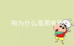 狗为什么是黑嘴唇