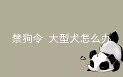 禁狗令 大型犬怎么办