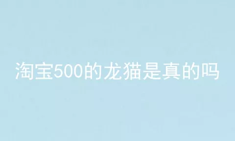 淘宝500的龙猫是真的吗