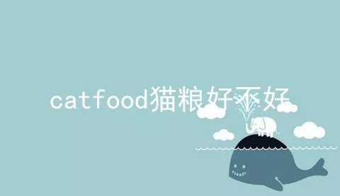 catfood猫粮好不好