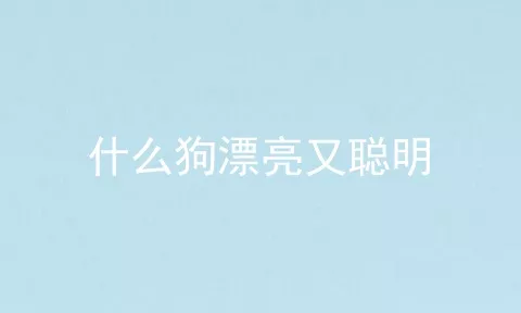 什么狗漂亮又聪明