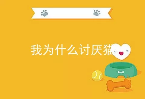 我为什么讨厌猫