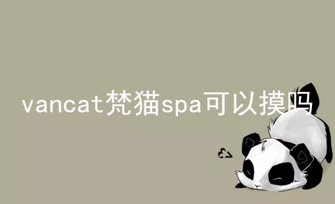 vancat梵猫spa可以摸吗