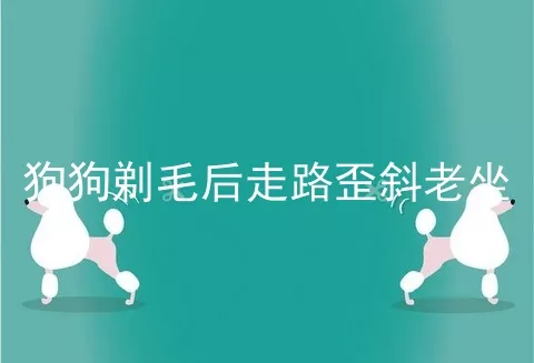 狗狗剃毛后走路歪斜老坐