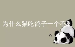 为什么猫吃鸽子一个不剩