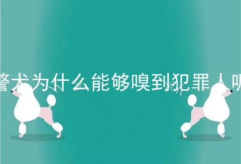 警犬为什么能够嗅到犯罪人呢