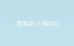 我家的小猫500