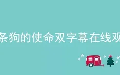 一条狗的使命双字幕在线观看