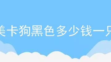 美卡狗黑色多少钱一只