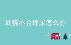 幼猫不会埋屎怎么办