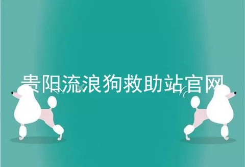 贵阳流浪狗救助站官网