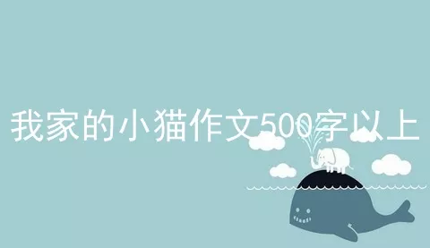 我家的小猫作文500字以上