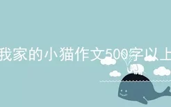 我家的小猫作文500字以上