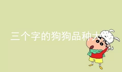 三个字的狗狗品种大全