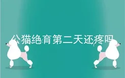 公猫绝育第二天还疼吗