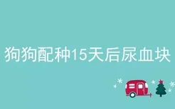 狗狗配种15天后尿血块