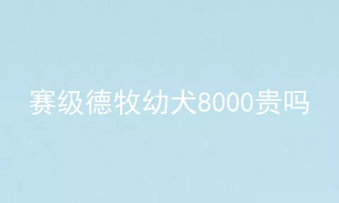 赛级德牧幼犬8000贵吗