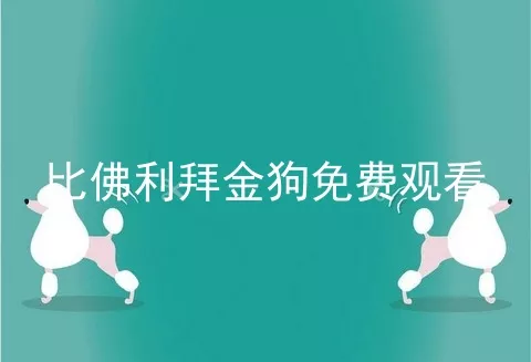 比佛利拜金狗免费观看