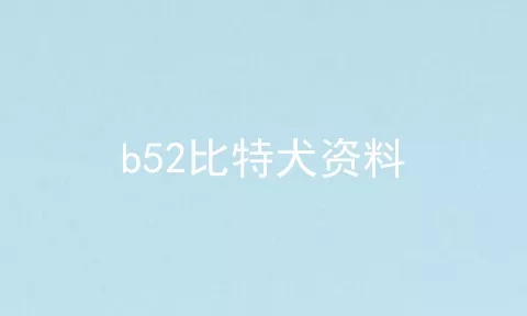 b52比特犬资料