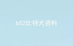 b52比特犬资料