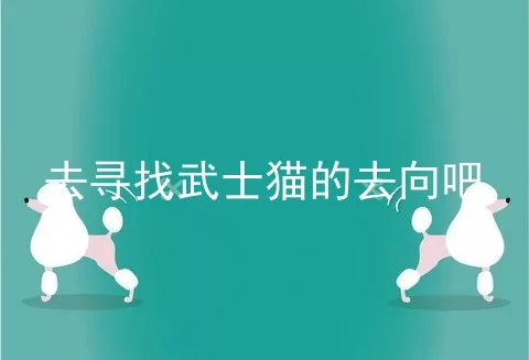 去寻找武士猫的去向吧