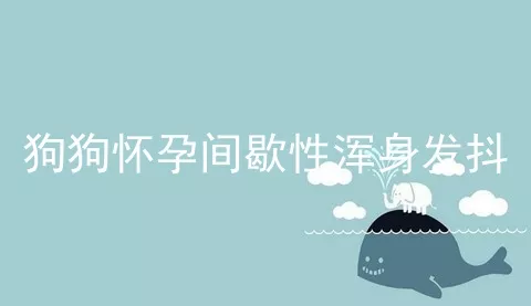 狗狗怀孕间歇性浑身发抖