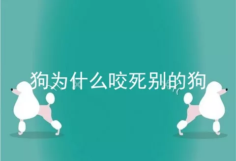 狗为什么咬死别的狗