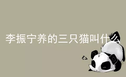 李振宁养的三只猫叫什么