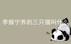 李振宁养的三只猫叫什么