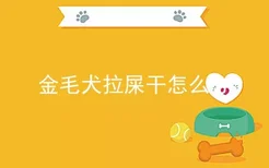 金毛犬拉屎干怎么办