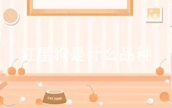 红星狗是什么品种