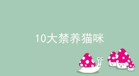 10大禁养猫咪