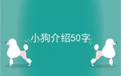 小狗介绍50字