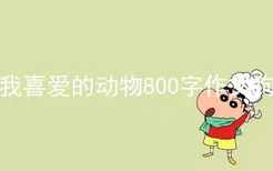 我喜爱的动物800字作文狗