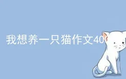 我想养一只猫作文400字