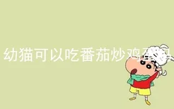 幼猫可以吃番茄炒鸡蛋吗