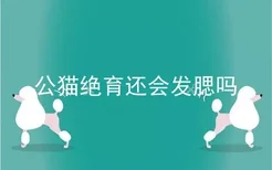 公猫绝育还会发腮吗