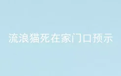 流浪猫死在家门口预示