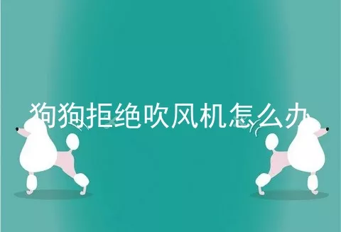 狗狗拒绝吹风机怎么办