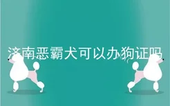 济南恶霸犬可以办狗证吗