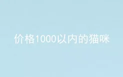 价格1000以内的猫咪