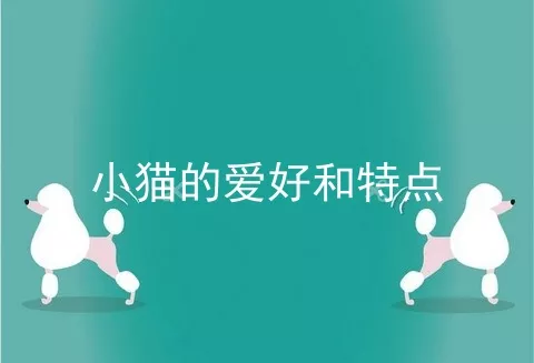 小猫的爱好和特点