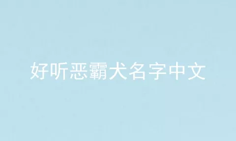 好听恶霸犬名字中文