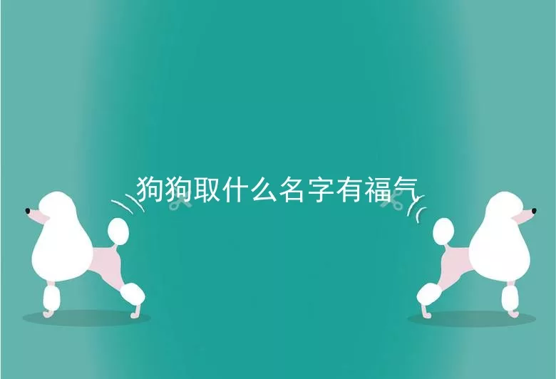 狗狗取什么名字有福气