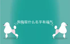 狗狗取什么名字有福气