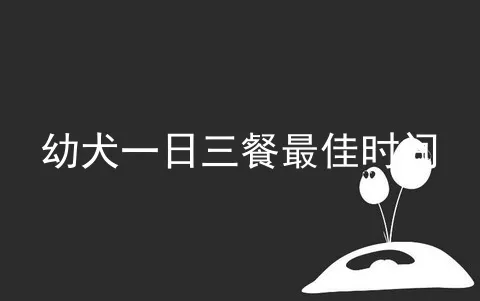 幼犬一日三餐最佳时间